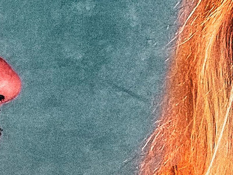 Joey Cape / José Prieto ‘Yes Way&nbsp;Jose’